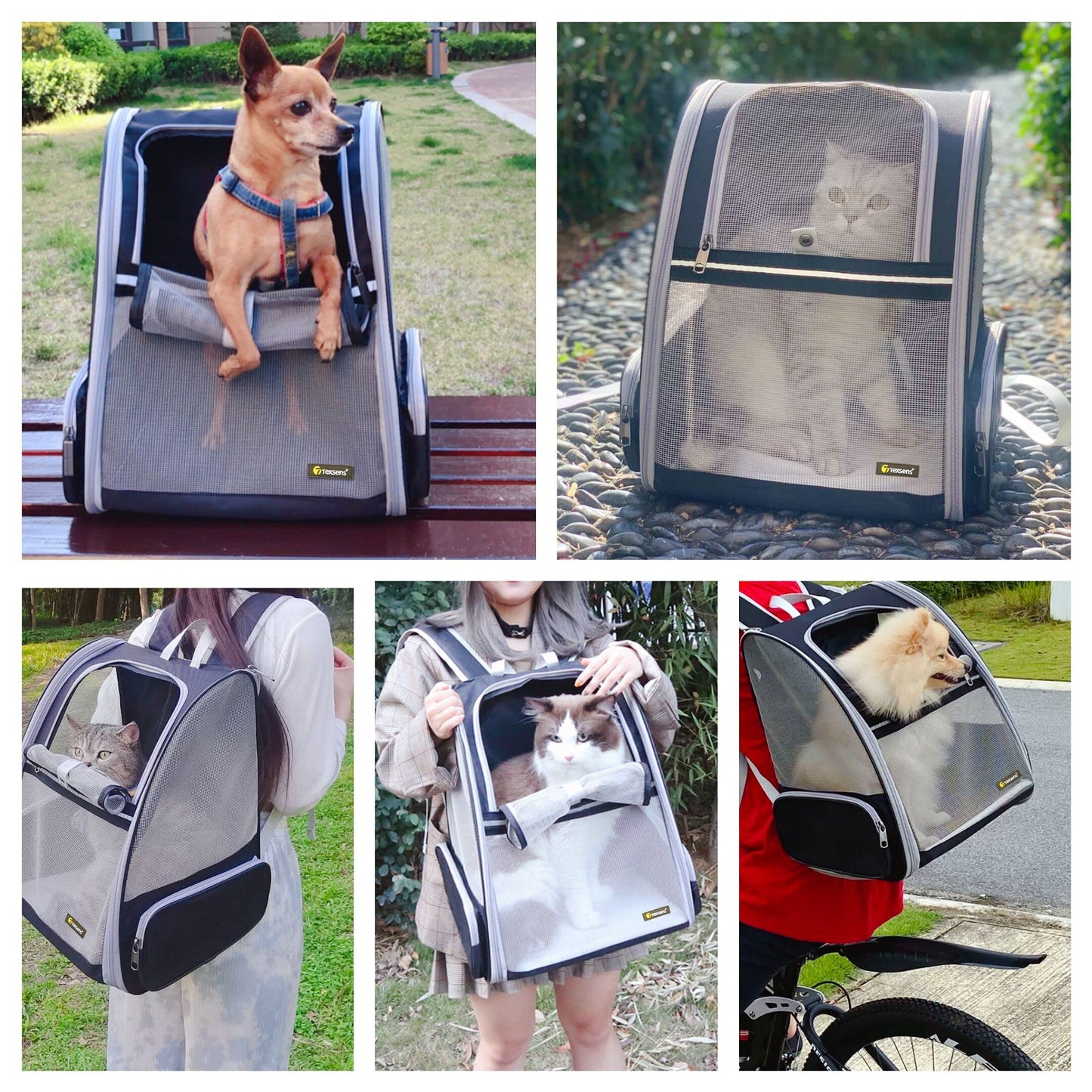Texsens Bubble Backpack for Cats & Small Dogs